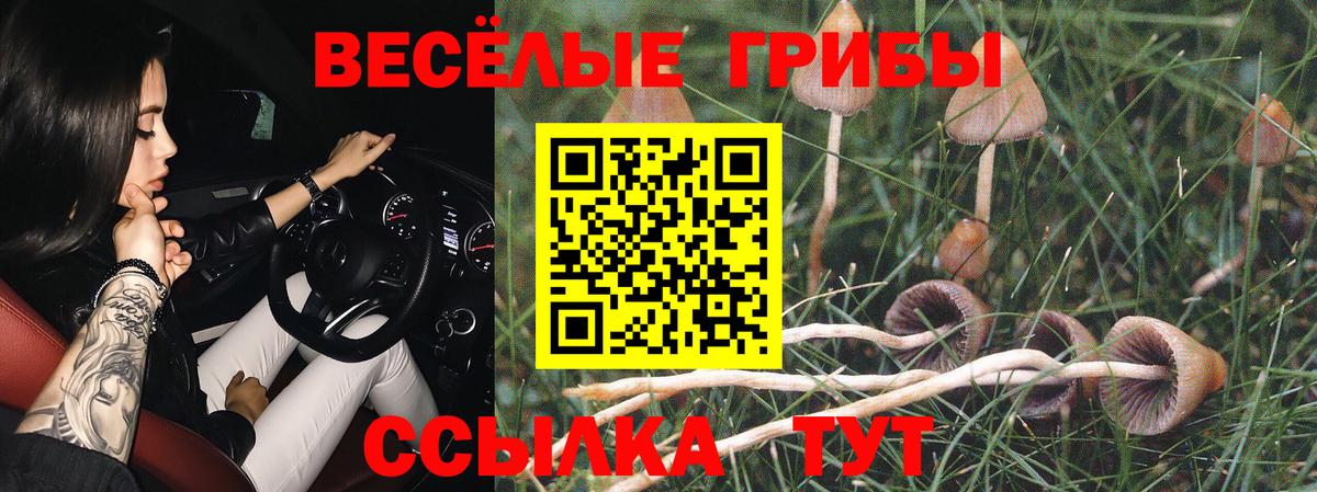 Волгоград  наркошоп  Вход с VPN  Псилоцибиновые грибы мухоморы 